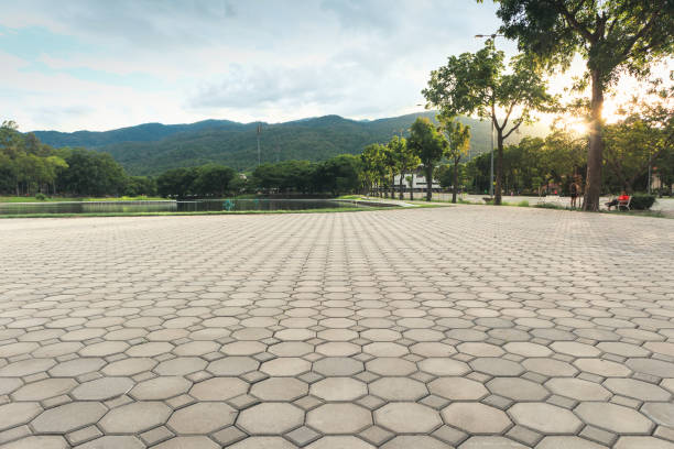 Best Driveway Pavers Near Me  in Potomac Heights, MD